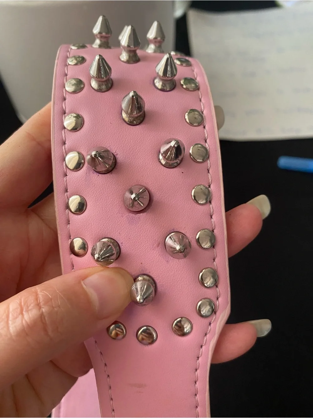 Spiked dog collar